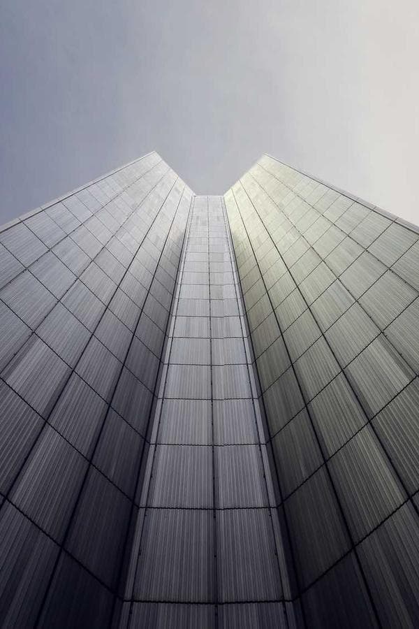 Admin Seed - 5'8" - Thumbnail 3