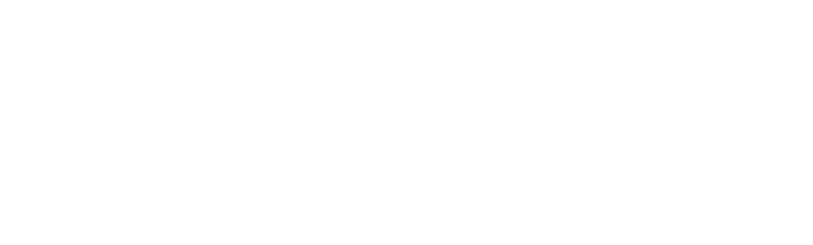 ESP Surfboards logo