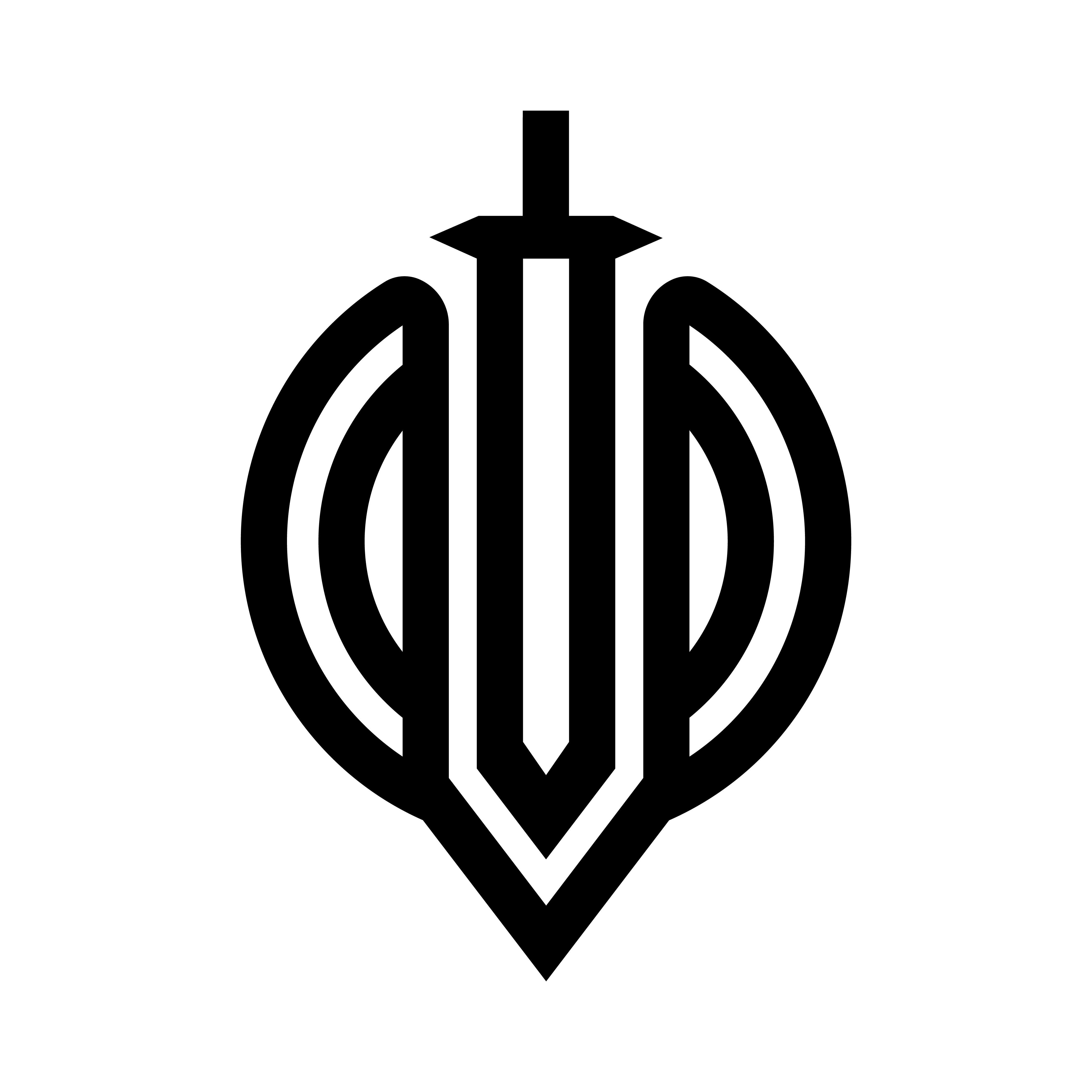 Palaia Surf logo