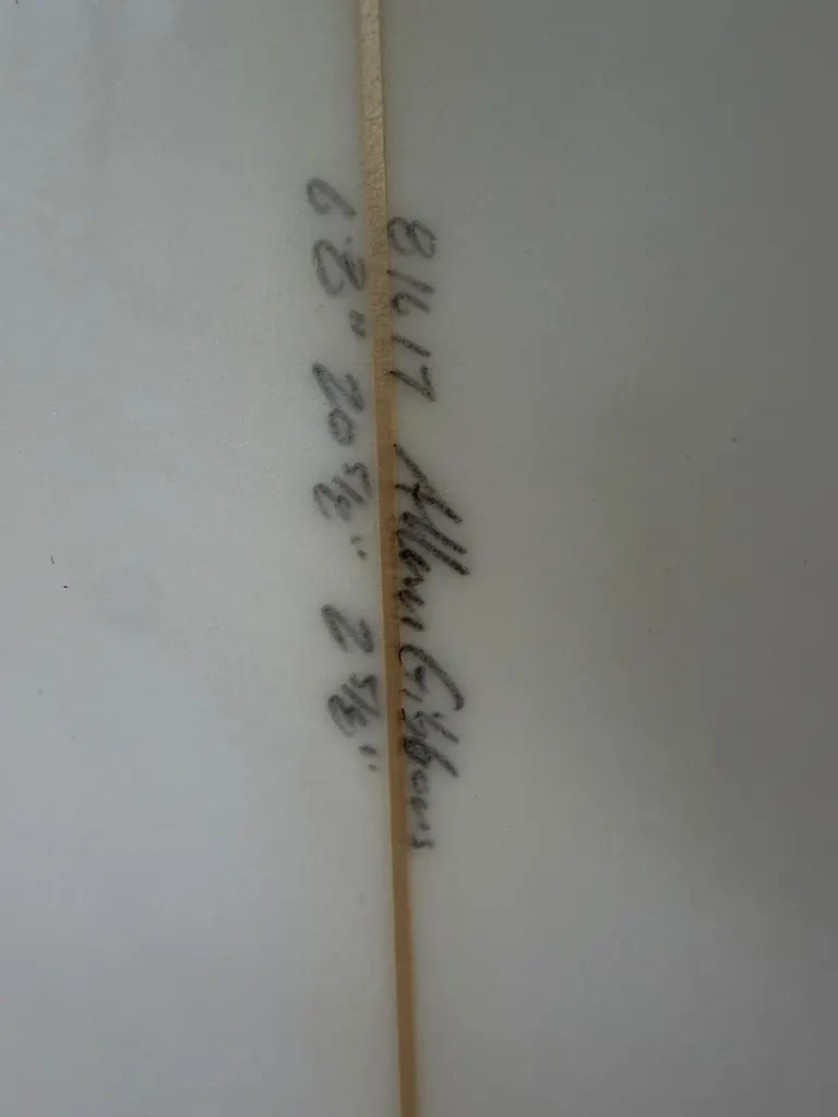 Allan Gibbons Twin Fin Pin Tail - Image 3
